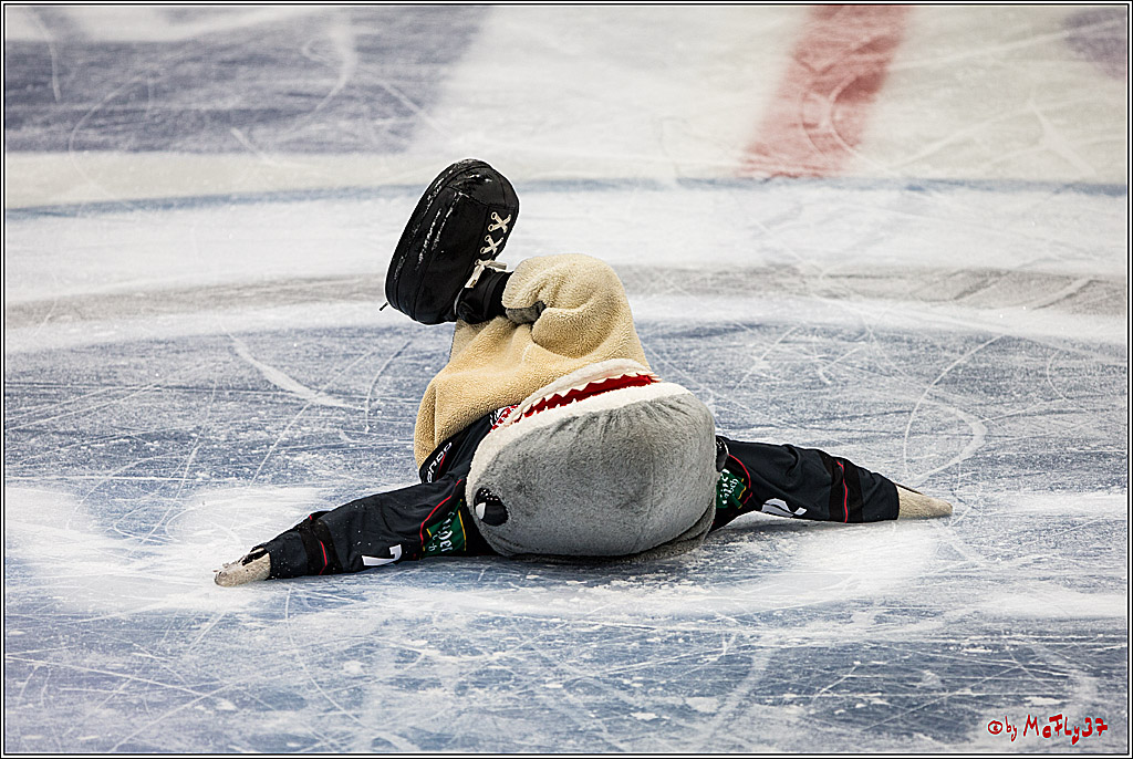 Koelner Haie - Iserlohn Roosters, 09.10.2016